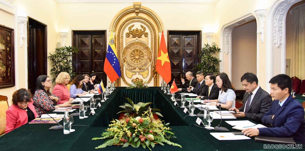 Vietnam, Venezuela hold political consultation in Hanoi
